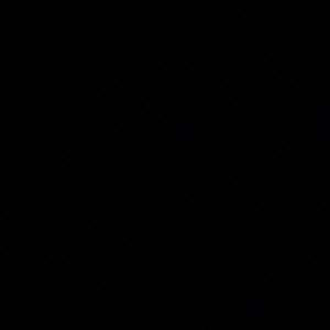 Meet your Posher, Warren